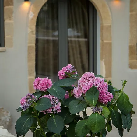 Basiliko Villa Kamara Kalidonias Exterior foto